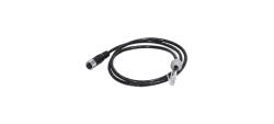 Cable
